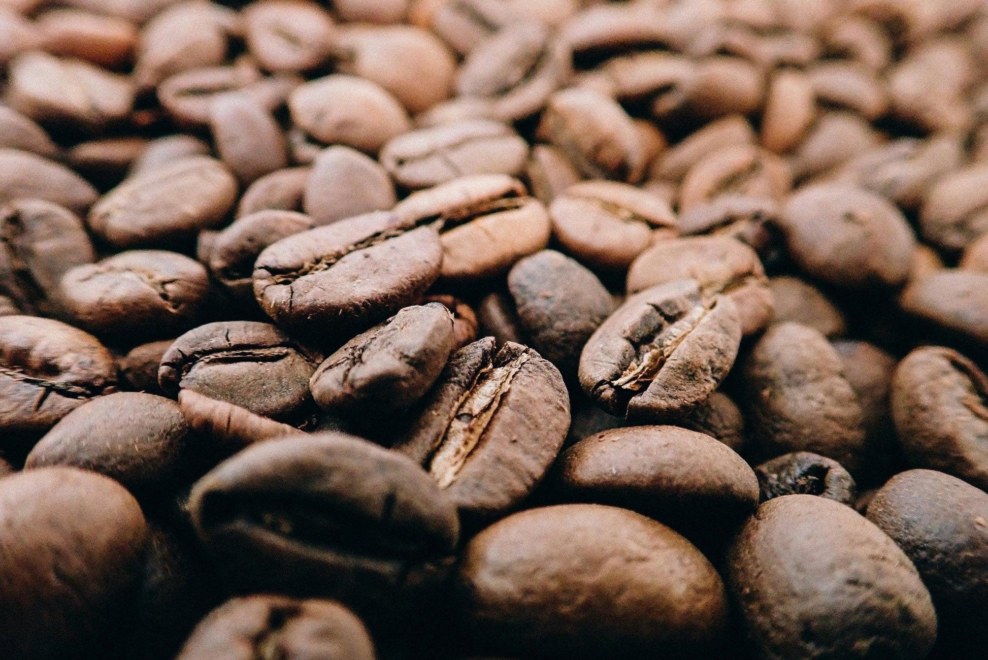 Signature Select Arabica Koffiebonen – Medium Roast | 500g Vers Gebrand - Henk Pur